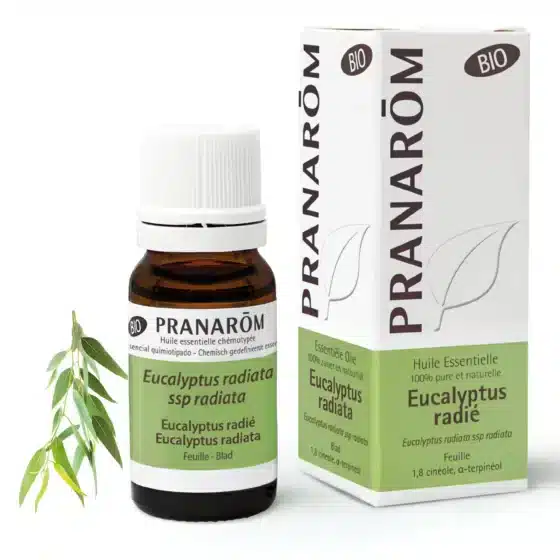 eucalyptus radiata bio hle ess 10ml pranarom